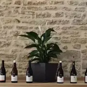 Initiation à la dégustation de vins prestigieux à Beaune (21)