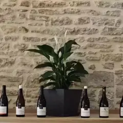 Initiation à la dégustation de vins prestigieux à Beaune (21)