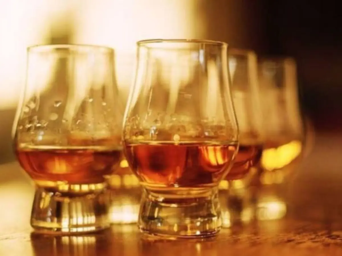 Initiation à la dégustation de Whisky à Toulouse (31)