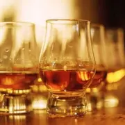 Initiation à la dégustation de Whisky à Toulouse (31)