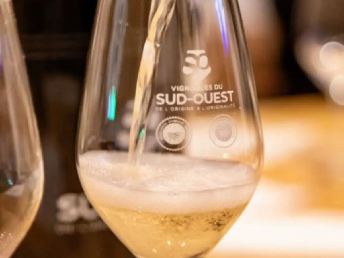 Initiation à la dégustation des vins pétillants à Toulouse (31)