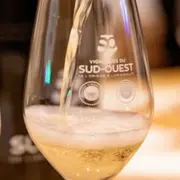 Initiation à la dégustation des vins pétillants à Toulouse (31)