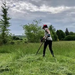 Initiation à la faux
