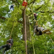 Initiation à la Grimpe d'arbres à l'Etang des Bois (45)