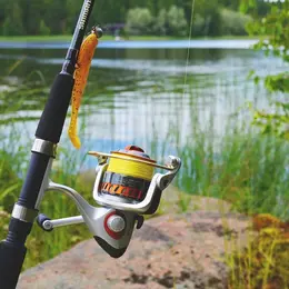Initiation à la pêche au Black Bass