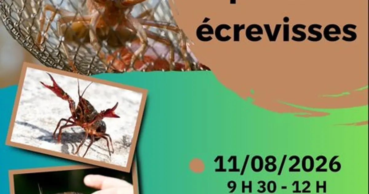 Initiation à la pêche aux écrevisses
