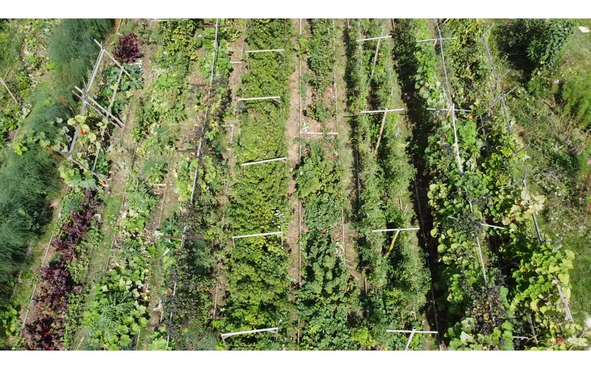 Initiation à la permaculture