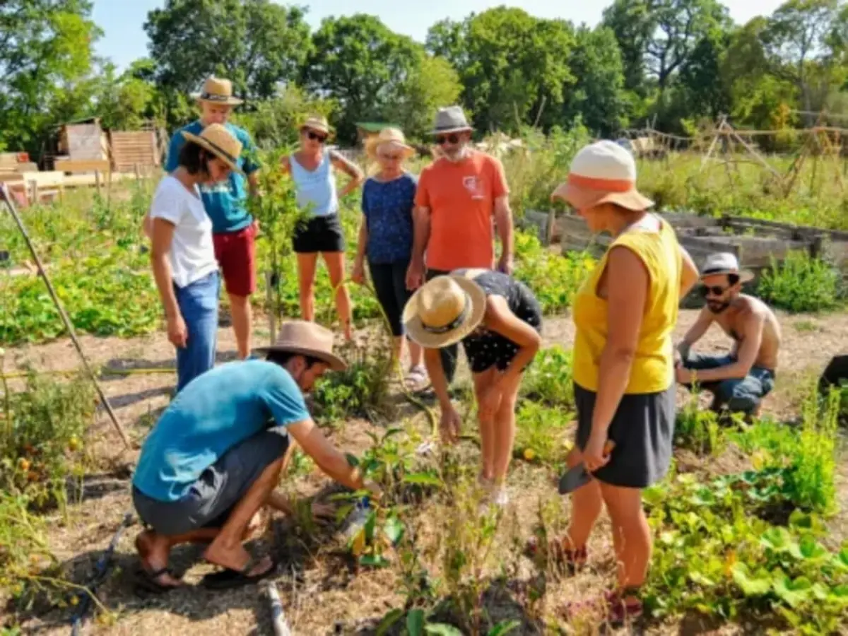 Initiation à la permaculture à Montpellier (34)
