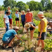 Initiation à la permaculture à Montpellier (34)