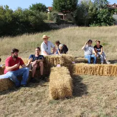 Initiation à la permaculture et application au potager