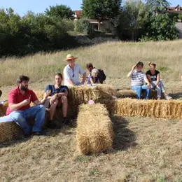 Initiation à la permaculture et application au potager