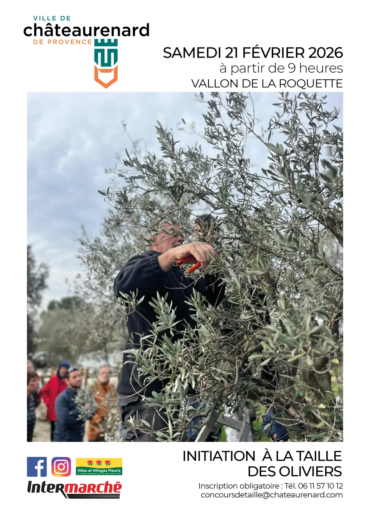 Initiation à la taille des oliviers