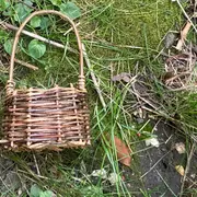 Initiation à la vannerie sauvage