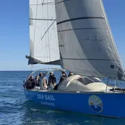 Initiation à la voile à Antibes (06)
