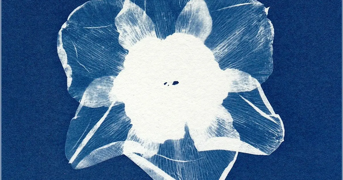 Initiation au cyanotype
