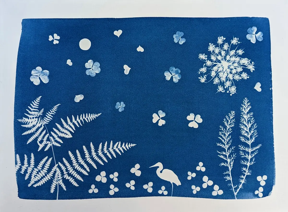 Initiation au cyanotype : autour du végétal