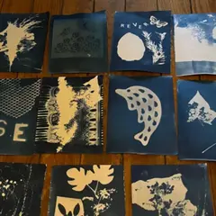 Initiation au Cyanotype photo à Aubervilliers (93)