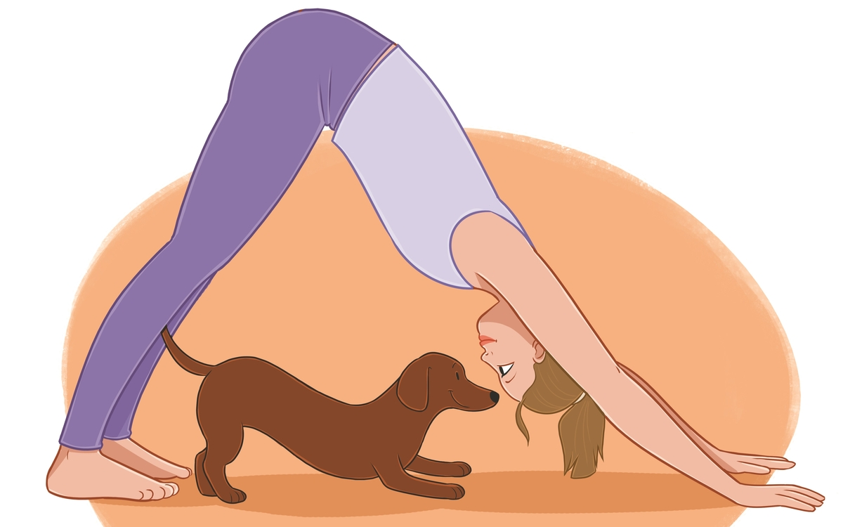 Initiation au doga, le yoga en duo avec son chien