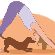 Initiation au doga, le yoga en duo avec son chien