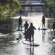Initiation au Stand-up Paddle à Champtoceaux (49)