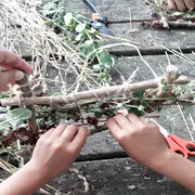 Initiation au tissage végétal