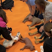 Initiation aux gestes de premiers secours canin et félin