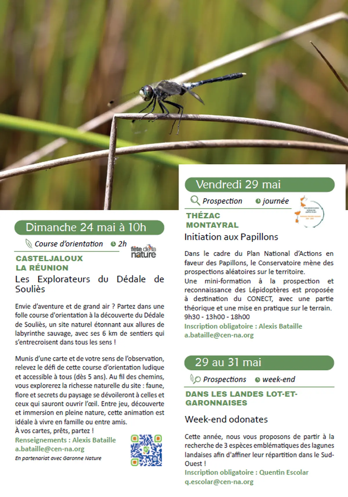 Initiation aux Papillons