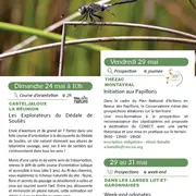 Initiation aux Papillons