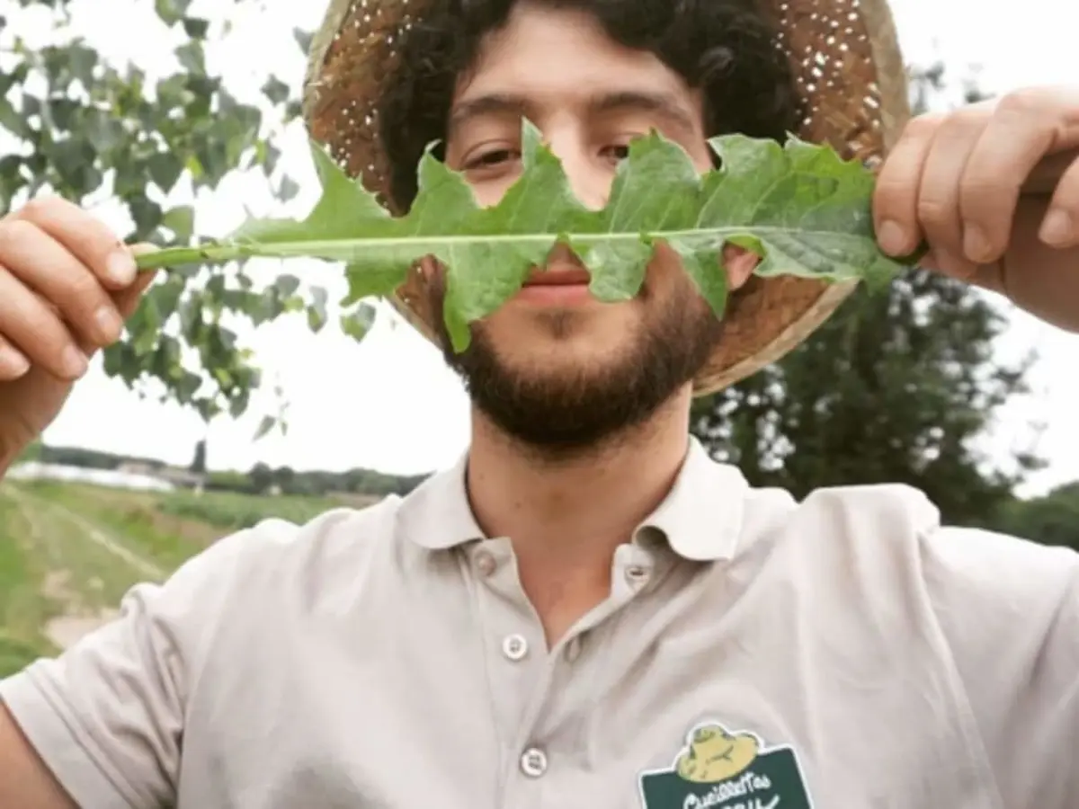 Initiation aux plantes sauvages comestibles à Montardon (64)