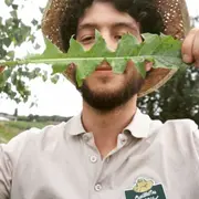 Initiation aux plantes sauvages comestibles à Montardon (64)