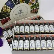 Initiation fleurs de Bach