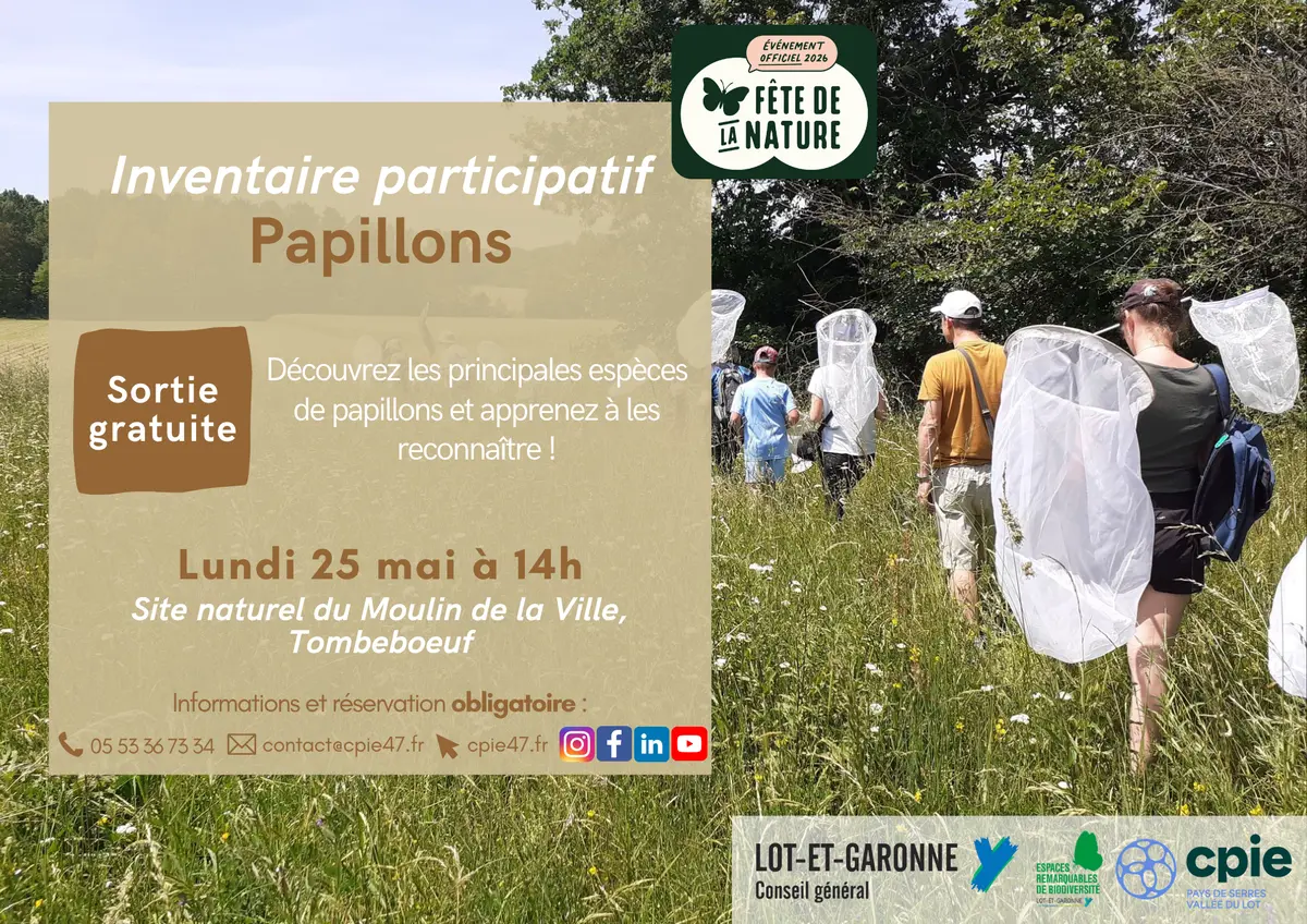 Initiation naturaliste : à la découverte des papillons !