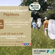 Initiation naturaliste : à la découverte des papillons !