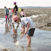 Initiation pêche à pied