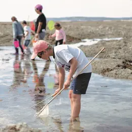 Initiation pêche à pied