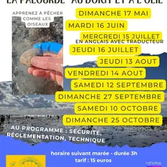 Initiation pêche à pied