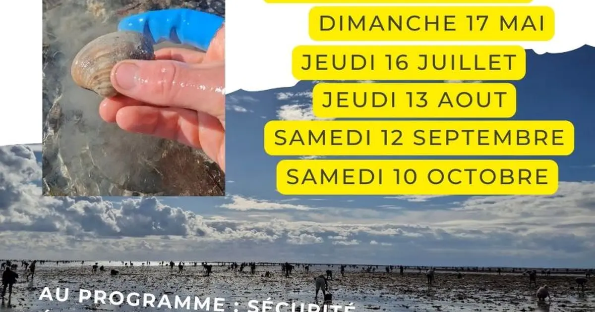 Initiation pêche à pied au doigt et à l'oeil