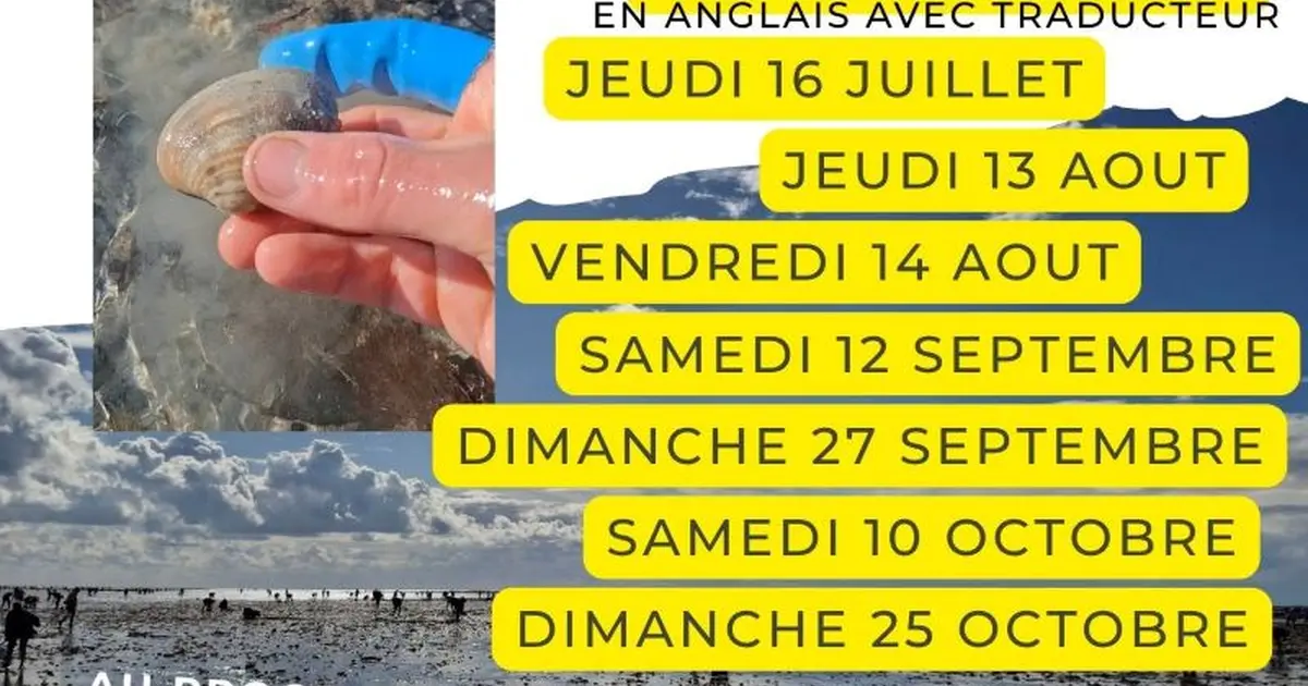Initiation pêche à pied au doigt et à l'oeil
