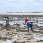 Initiation pêche aux praires