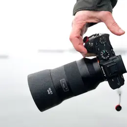Initiation photographie animalière