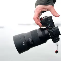 Initiation photographie animalière