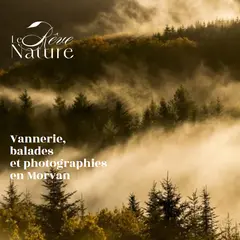 Initiation vannerie