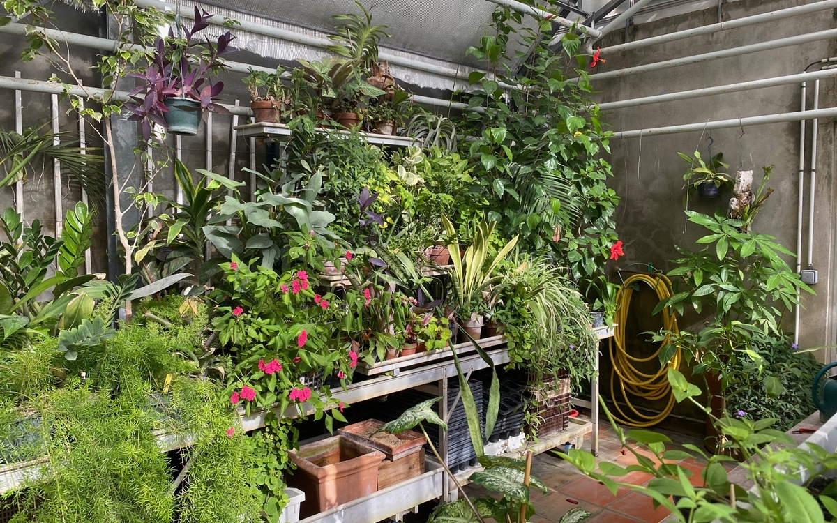 Serre la Maison du jardinage et du compostage