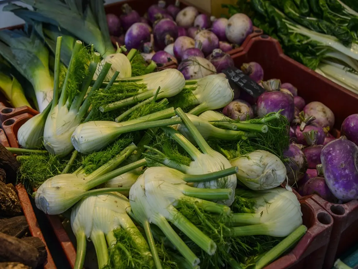 Inscription à la saison printemps-été de l'AMAP des Bois