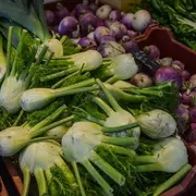 Inscription à la saison printemps-été de l'AMAP des Bois