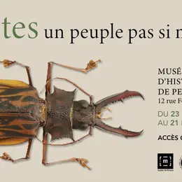 Insectes Et Compagnie