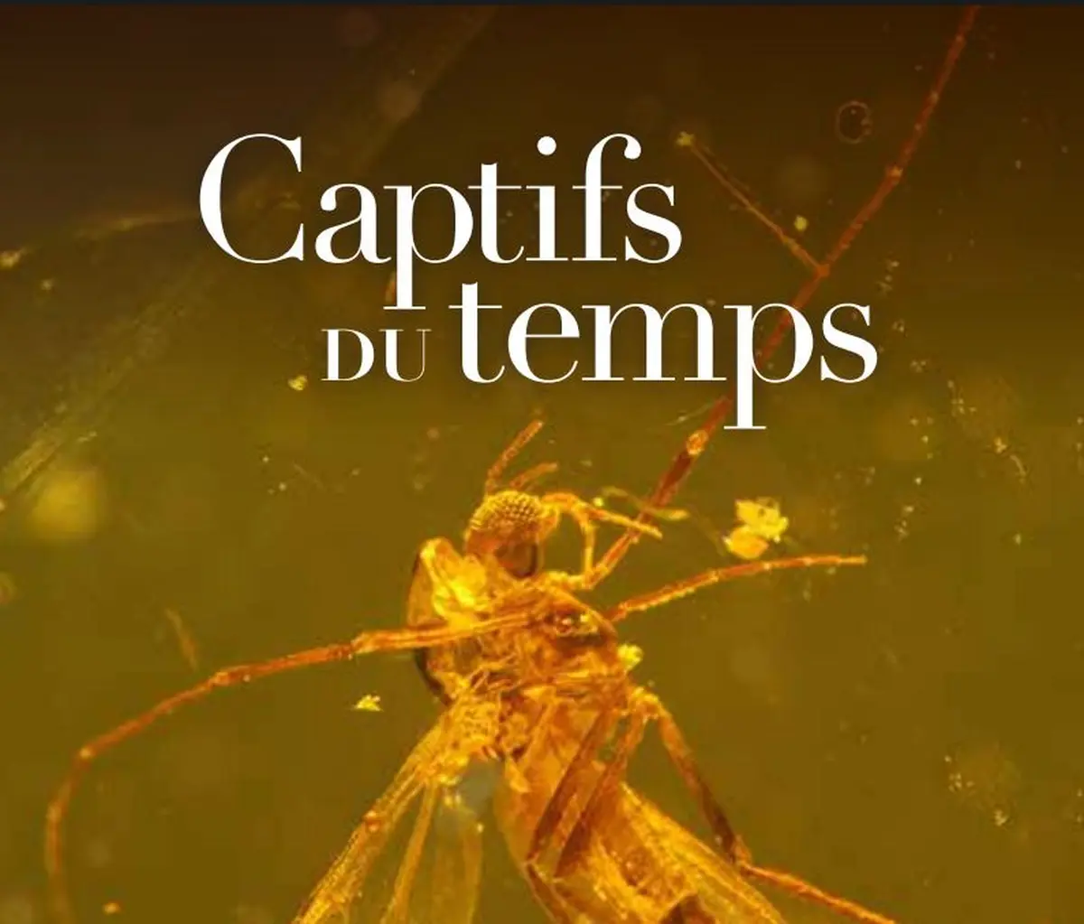 Installation immersive Captifs du temps à la Philharmonie de Paris