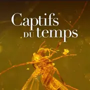 Installation immersive Captifs du temps à la Philharmonie de Paris