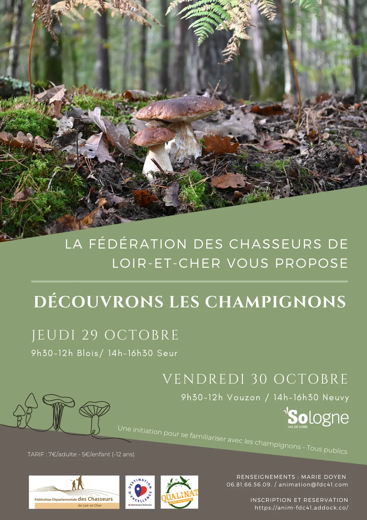 Instants Nature - Découvrons les champignons à Neuvy