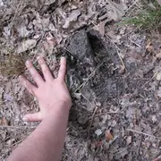 Instants Nature - Sentier Traces et indices  à la Maison de la Chasse et de la Nature